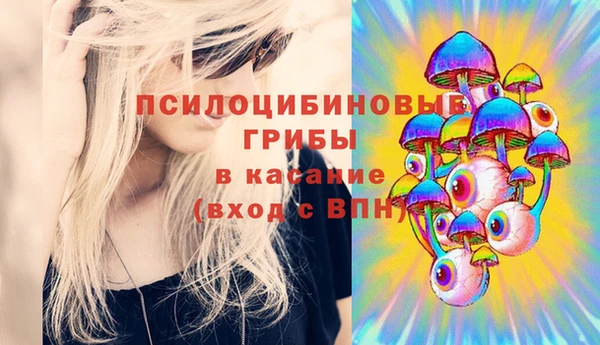 спиды Алексин