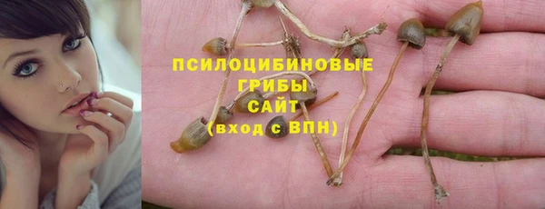 твердый Нязепетровск