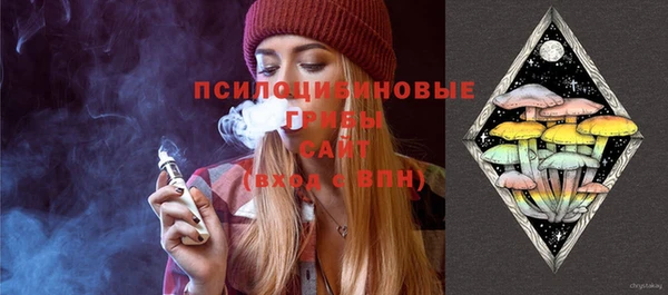 ПСИЛОЦИБИНОВЫЕ ГРИБЫ Абдулино