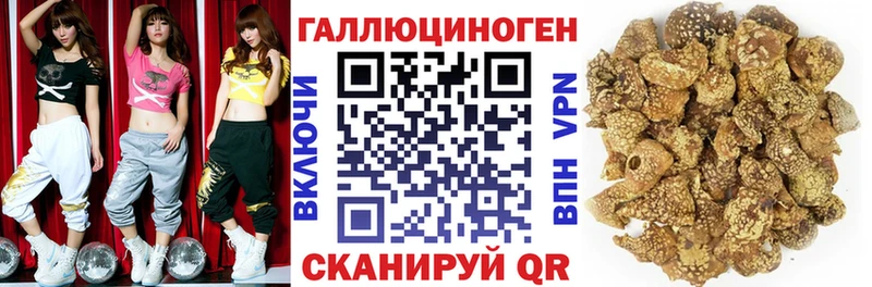 Псилоцибиновые грибы GOLDEN TEACHER наркотики Котово